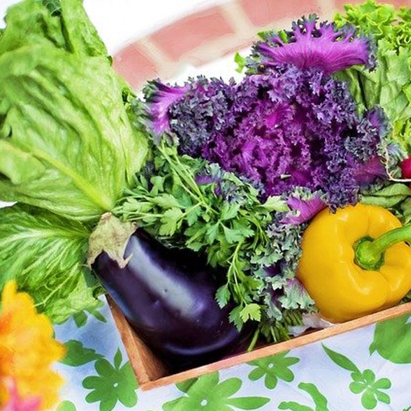 Veg ingredients at kamaxi college of culinary arts