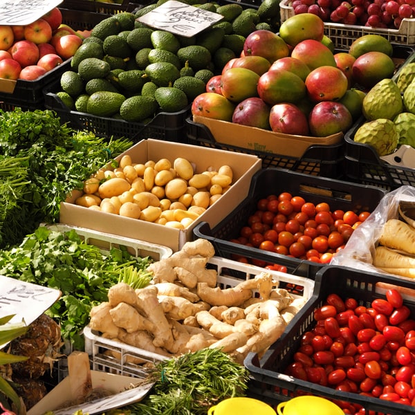 Veg ingredients at kamaxi college of culinary arts